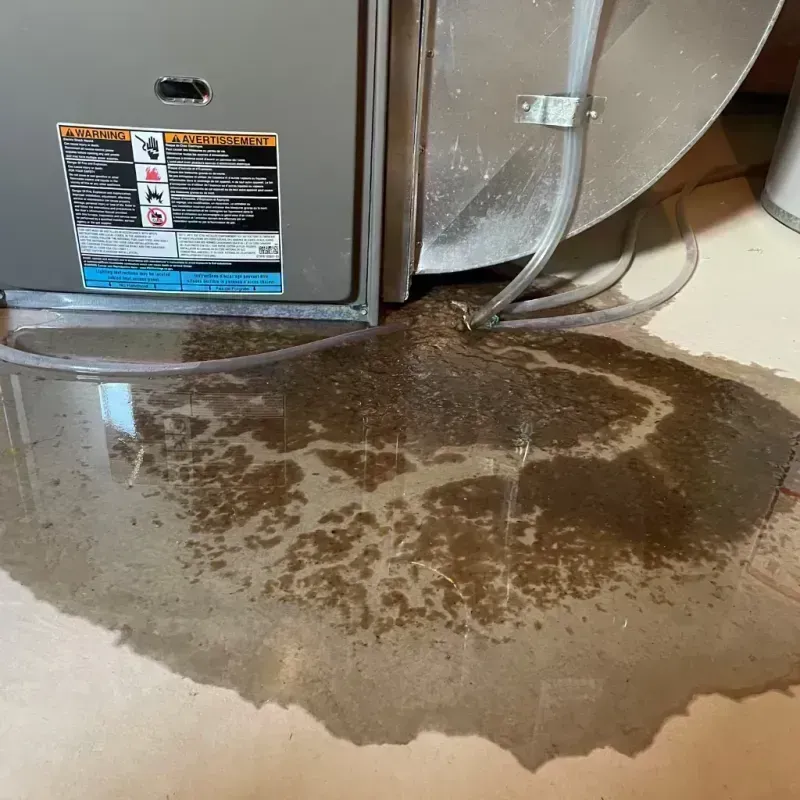 Appliance Leak Cleanup in Reynolds County, MO